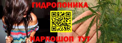 индика Апшеронск