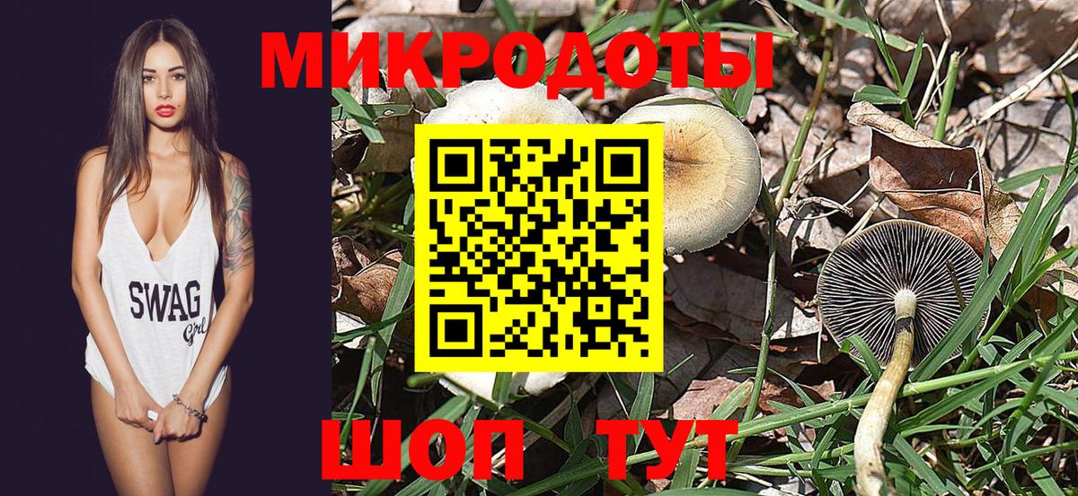 Псилоцибиновые грибы Psilocybine cubensis Выборг