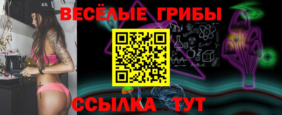 Выборг  Галлюциногенные грибы MAGIC MUSHROOMS  Вход с VPN 